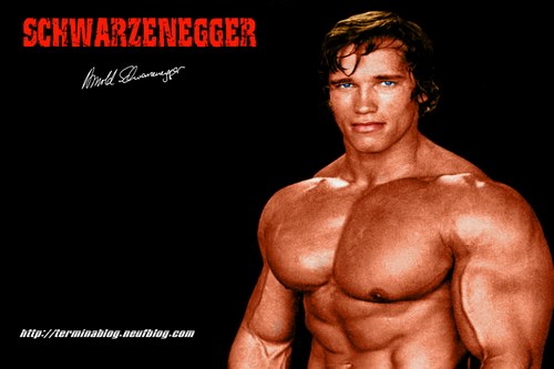  Arnold Schwarenegger fondo de pantalla