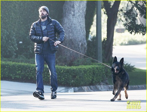  Ben Affleck: Morning Walk with the Dog