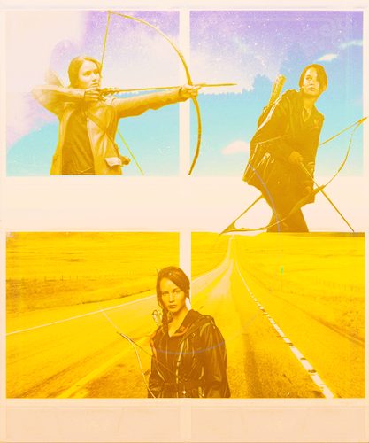  Hunger Games 粉丝 Art