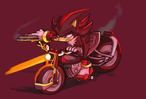  Shadow and his lovely bike