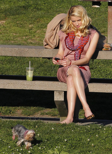  Amber Heard’s Personal Picnic At The Dog Park