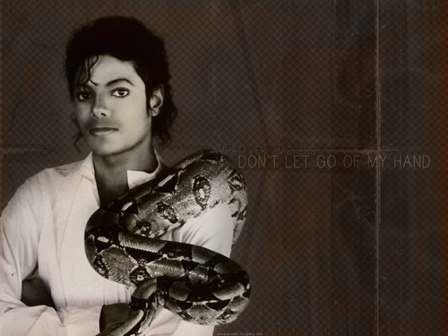  BEAUTIFUL MJ