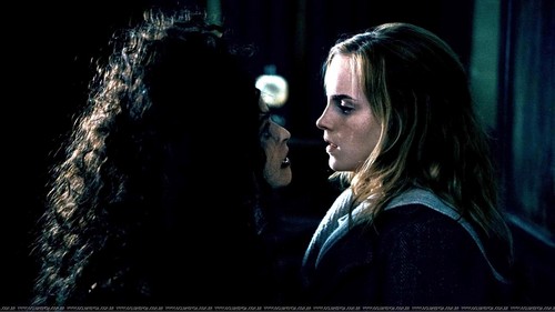 Bellatrix and Hermione