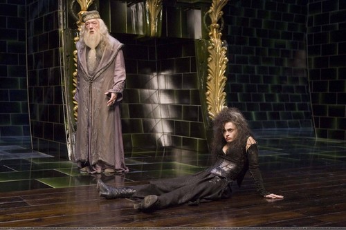  Bellatrix with Dumbledore