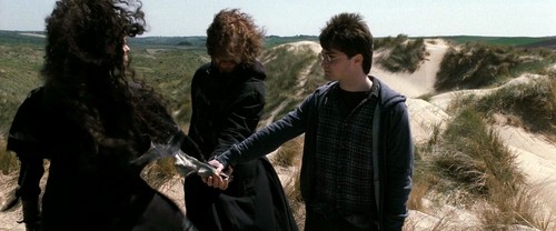  Bellatrix with Harry and Ron