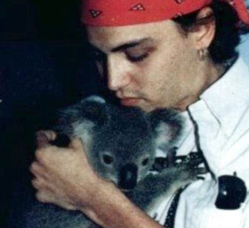 Johnny Depp & koala...so sweet♥