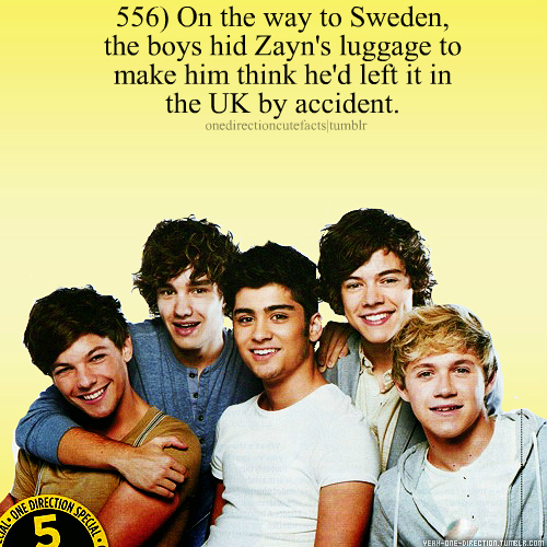  1D's facts <33