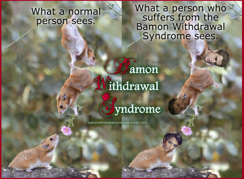  BAMON WITHDRAWAL SYNDROME A very dangerous syndrome.