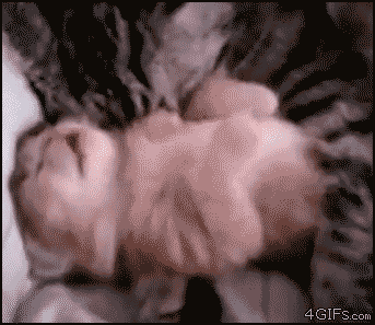 Cat Mother & Baby Gif