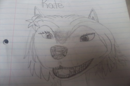  Kate Drawing(I drew this)
