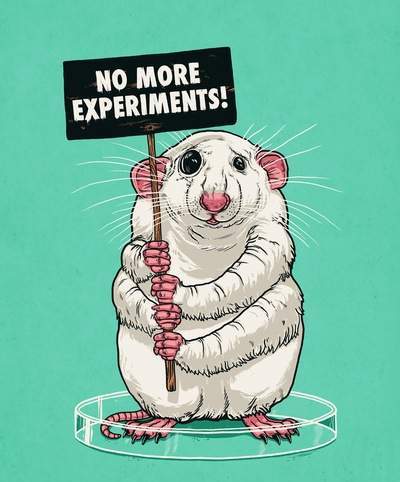  No più experiments.