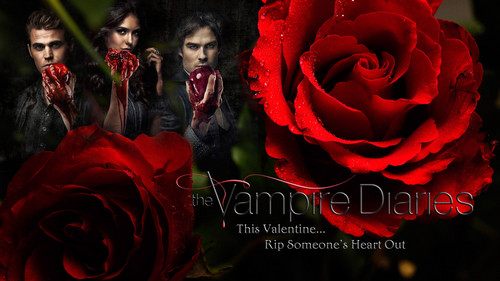  Vampire Diaries peminat Art