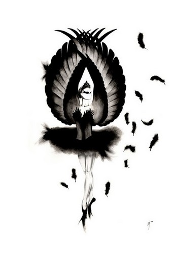  Black angsa, swan