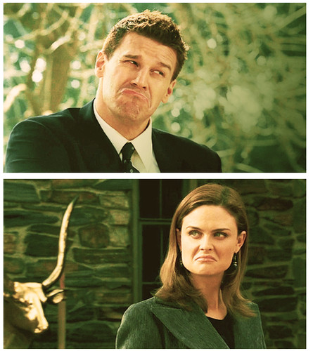  Booth and Brennan/ Bones :)