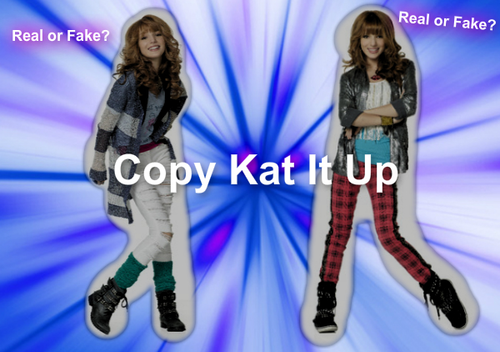  Copy Kat It Up!