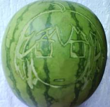 Ikaros in watermelon
