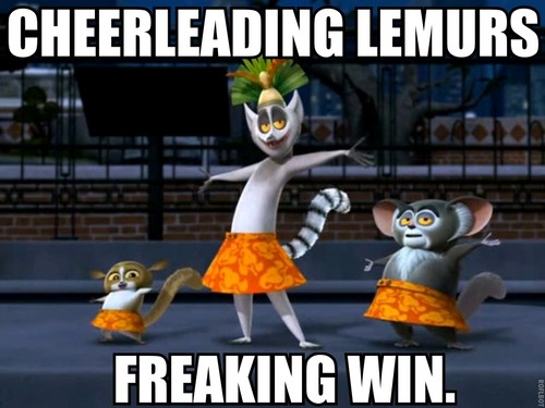  Lemurs That Cheer