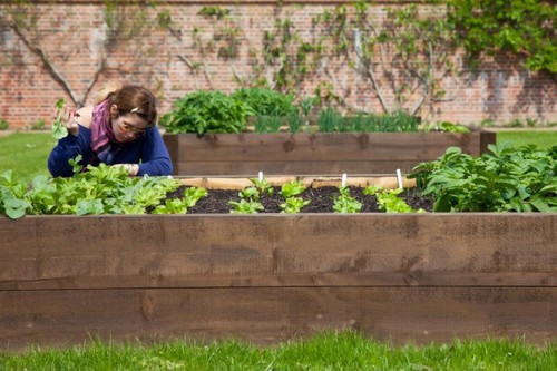 Lisa gardening 