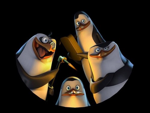  Penguins!