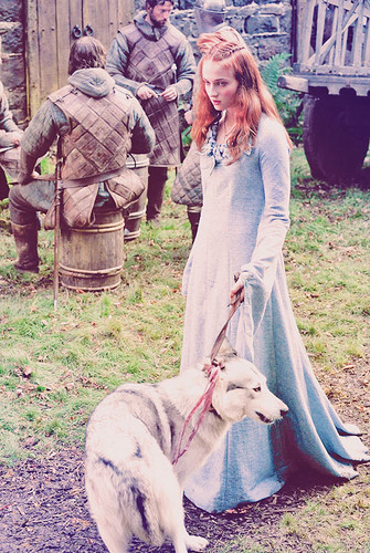 Sansa Stark & Lady