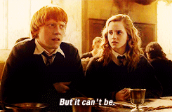 Top 25 Ron/Hermione movie moments ↦ 19. 