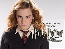  Hintergrund (Hermione)