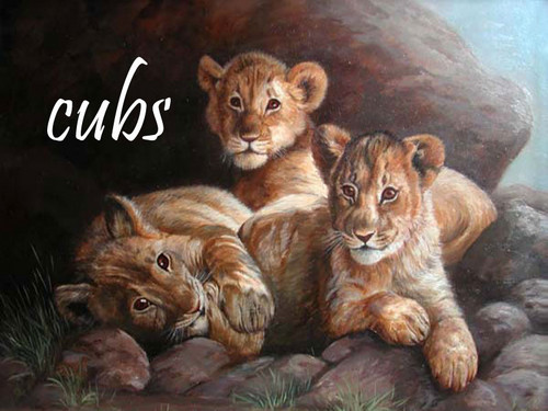  cubs