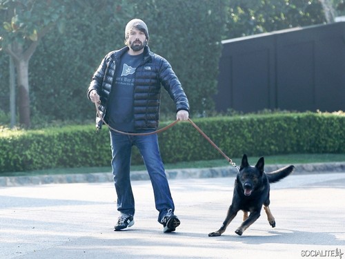  Ben Affleck Tries To Walk The Dog