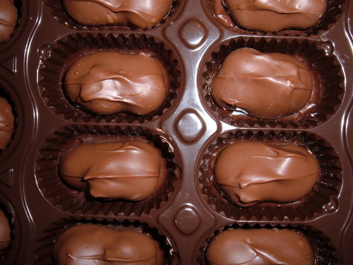  Chocolate-Covered Macadamia Nuts