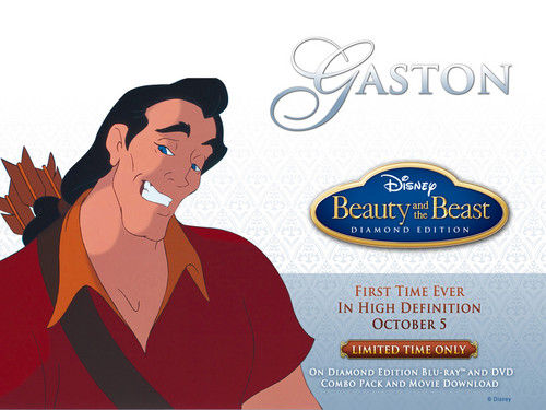  Gaston