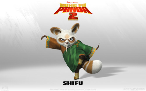  Master Shifu hình nền
