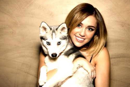  Miley's new Twitter Picture!