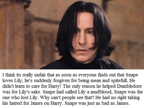  My opinion on Severus Snape