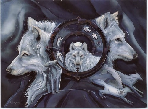  lobos