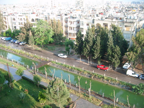  homs .syria