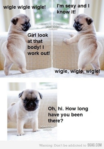  pug wiggle