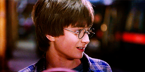 Harry Potter!