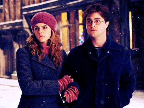  Harry and Hermione