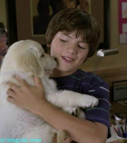 Matt loves Puppies