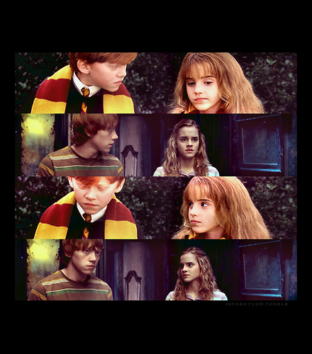  Ron and hermione