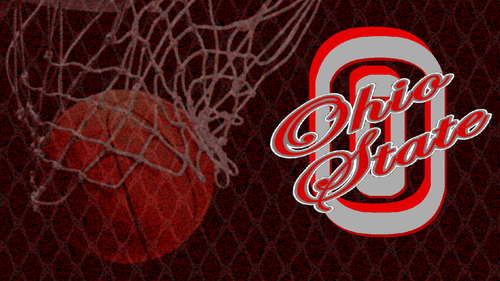  SCARLET AND GRAY OHIO STATE basketball, basket-ball