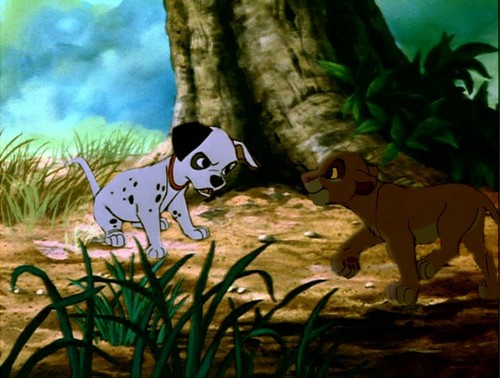  Simba and Patch
