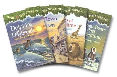 A picture of magic treehouse books
