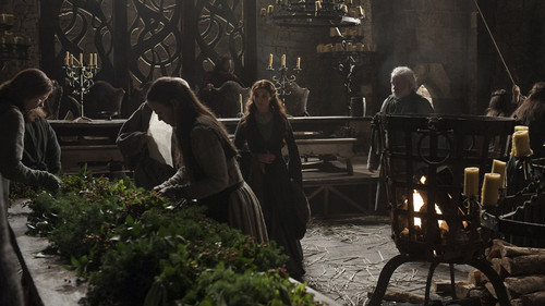  Catelyn Stark and servants