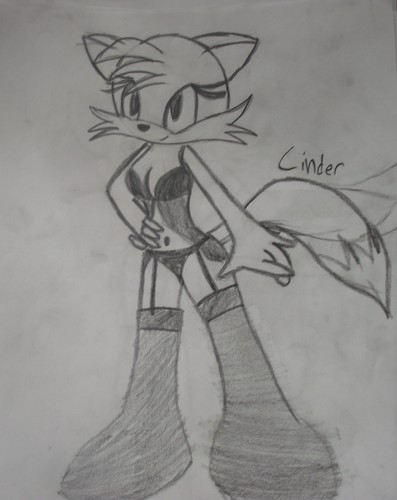  Cinder The fox, mbweha