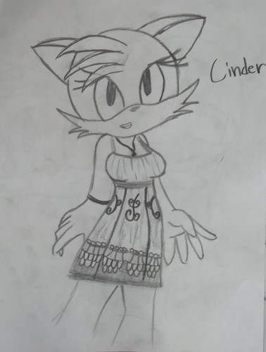  Cinder The zorro, fox