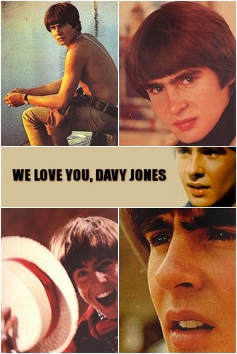  Davy♥