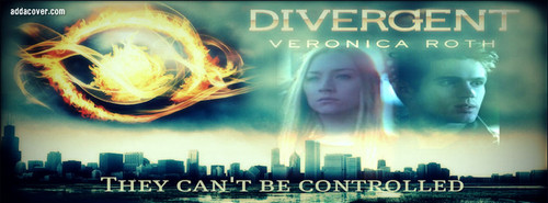  Divergent Covers