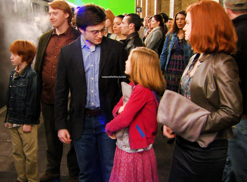  Harry and Ginny Adult