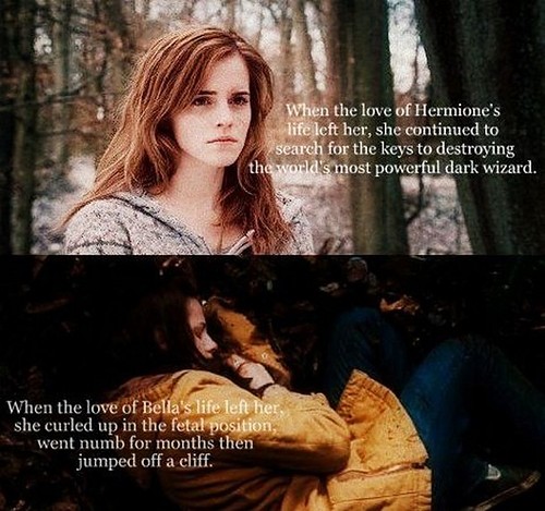 Hermione vs Bella
